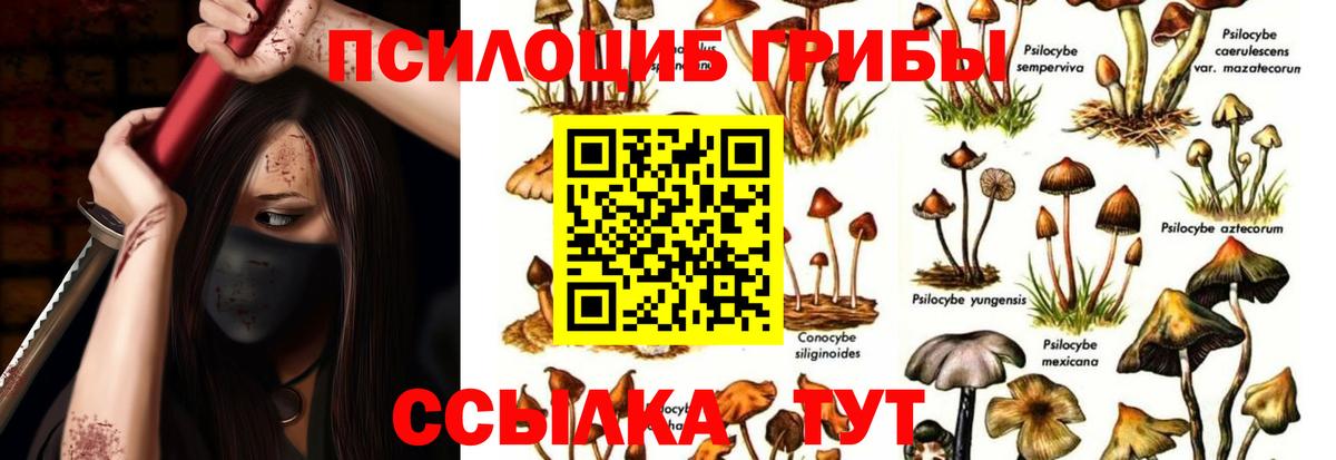 Галлюциногенные грибы Magic Shrooms  Псилоцибиновые грибы прущие грибы  Вход с VPN  даркнет сайт  Новотроицк 