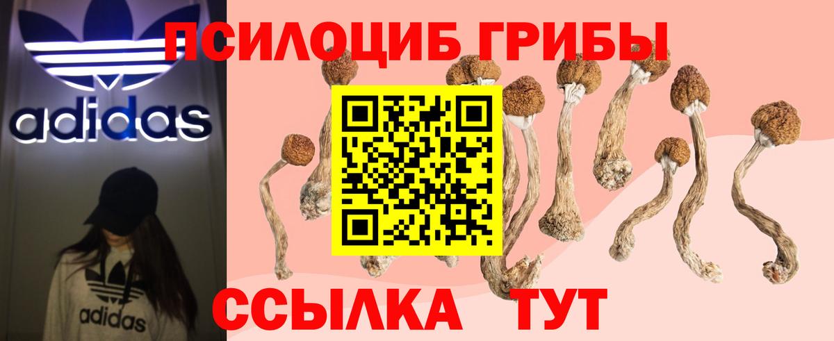 Псилоцибиновые грибы MAGIC MUSHROOMS Новотроицк